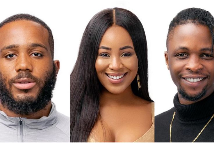 Kiddwaya, Erica and Laycon [Multichoice]