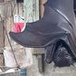Photo of huge bat with ‘human-size’ is giving people nightmares