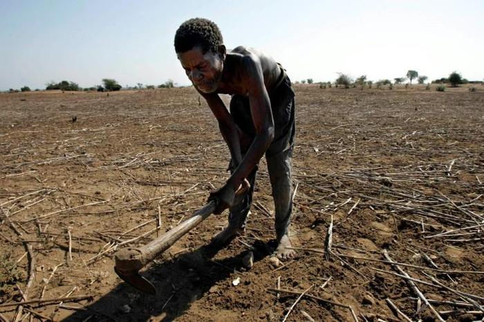 Malawi is vulnerable to drought -- harvests of maize, the staple food, were devastated in 2005 and in 2018