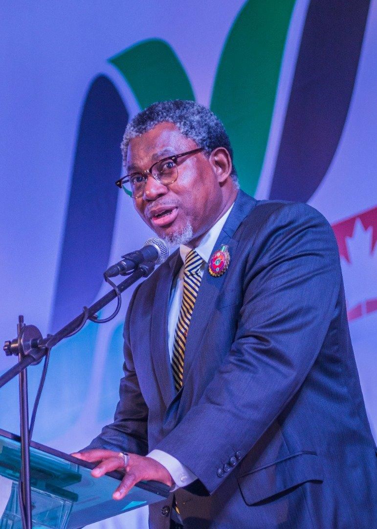 Mr Olamilekan Adegbite, Minister of Mines and Steel Development. [Twitter/@_LekanAdegbite]