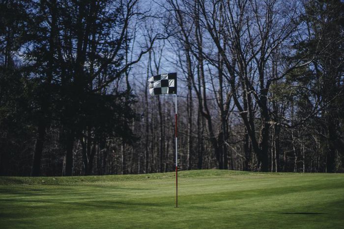 Lawsuits Swell as Owners, From Gun Shops to Golf Courses, Demand to Open