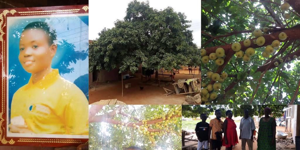 Girl who planted apple tree in Ashanti region is dead; can’t enjoy “the fruit of her labour”