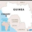 Guinea