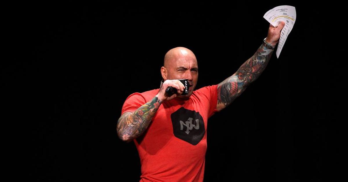 Joe Rogan Shares How He's Staying Fit While in Quarantine | Pulse Nigeria