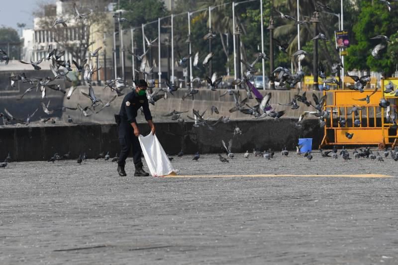 Tourists punished to write “I didn’t follow lockdown rules, I’m sorry” 500 times each (photos)