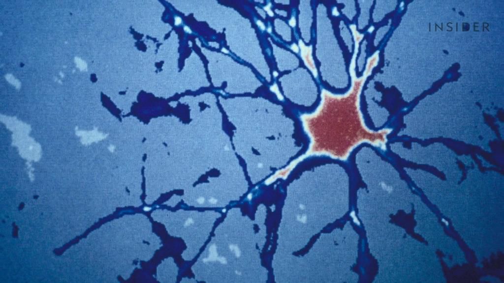 The human body replaces millions of cells every day. Here's how much skin, blood, and saliva it can produce in a lifetime.