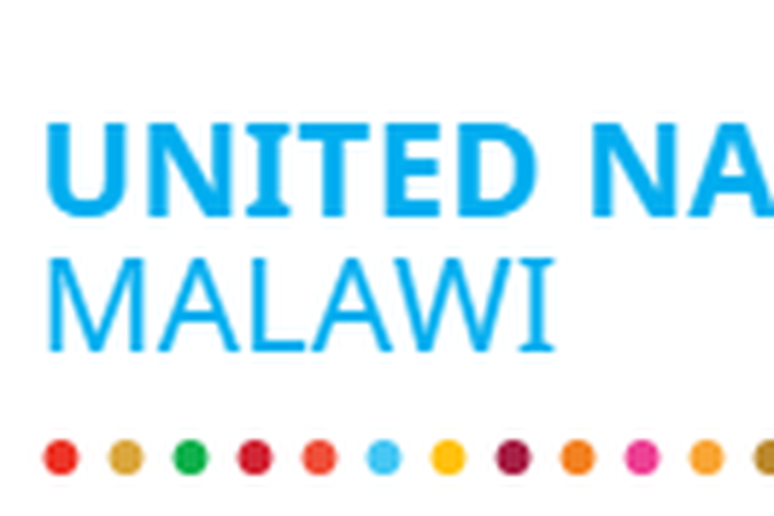 UN Country Team in Malawi (UNCT)