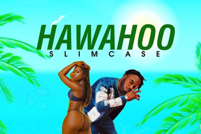 Slimcase - Hawahoo. (Tooxclusive)