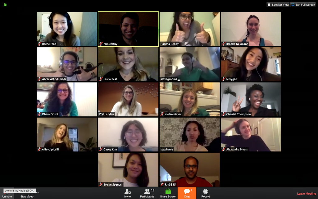 A recent POHPS team meeting over video chat. (Fathy is in the top row, second from the left.)