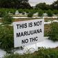Hemp looks and smells like marijuana but contains very little tetrahydrocannabinol (THC), which is what gets users high