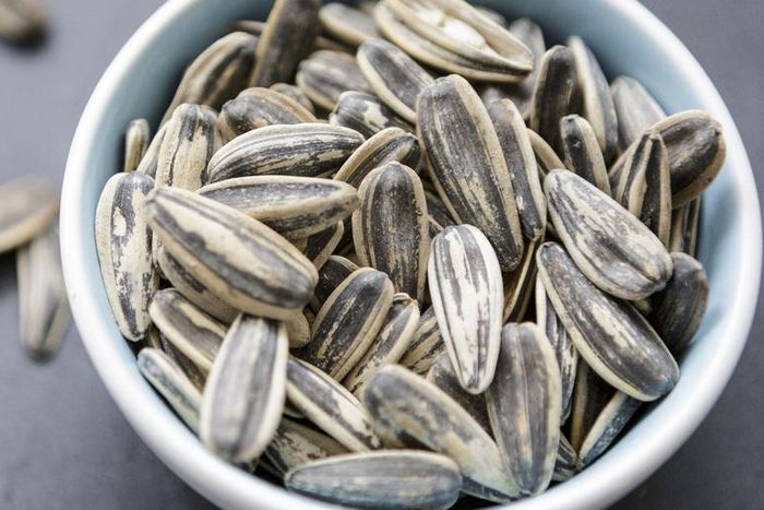 Dr. Pimple Popper Pops 'Sunflower Seed' Blackhead