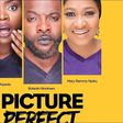 The critically acclaimed 2017 series 'Picture Perfect'  [YouTube]