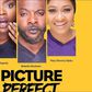 The critically acclaimed 2017 series 'Picture Perfect'  [YouTube]