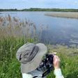 The Biebrza National Park features some of Europe's best preserved wetlands and is home to moose, beavers, wolves and unique birds 