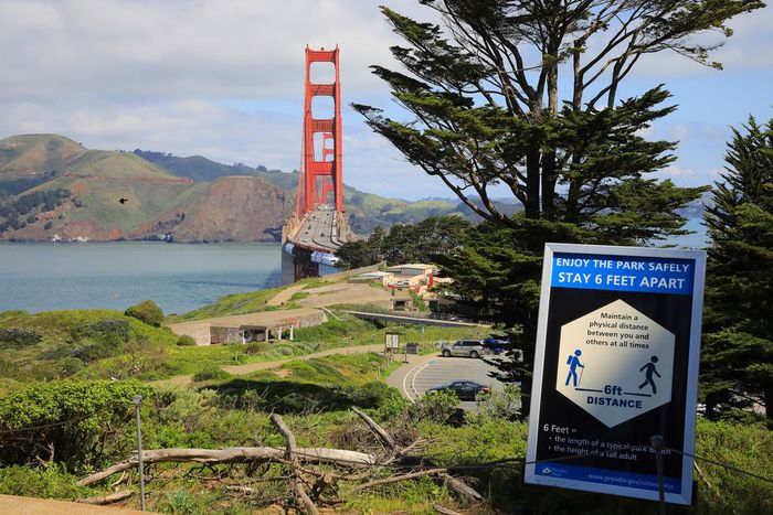 California Set the Tone on Coronavirus Shutdowns. What's Its Next Move?