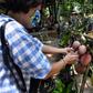 At a temple north of Bangkok worshippers poured water down a bamboo tube to a waiting monk, to maintain  social distancing