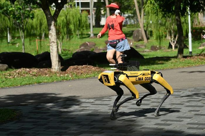 The hi-tech hound is remote-controlled and can clamber easily over all types of terrain