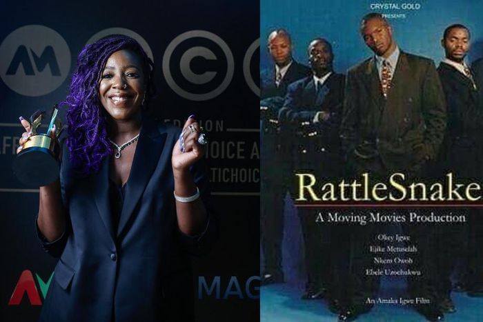 Nicole Asinugo is the award winning screenwriter for 'Living in Bondage' sequel