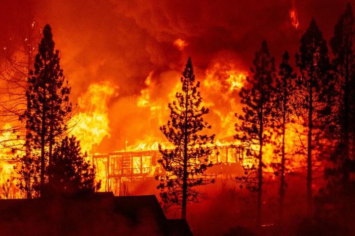 The Creek fire has burned more than 66,000 hectares