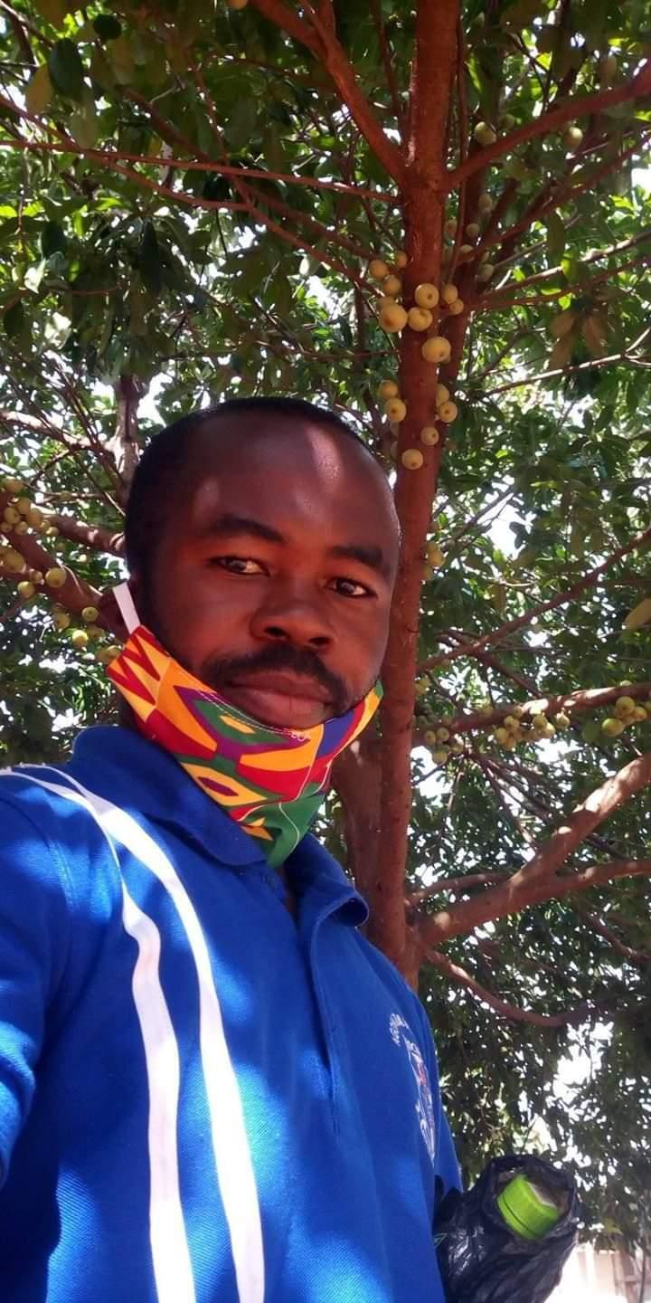 Girl who planted apple tree in Ashanti region is dead; can’t enjoy “the fruit of her labour”