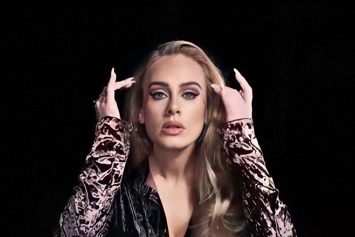 Adele breaks the internet as she hosts Saturday Night Live. (SNL)