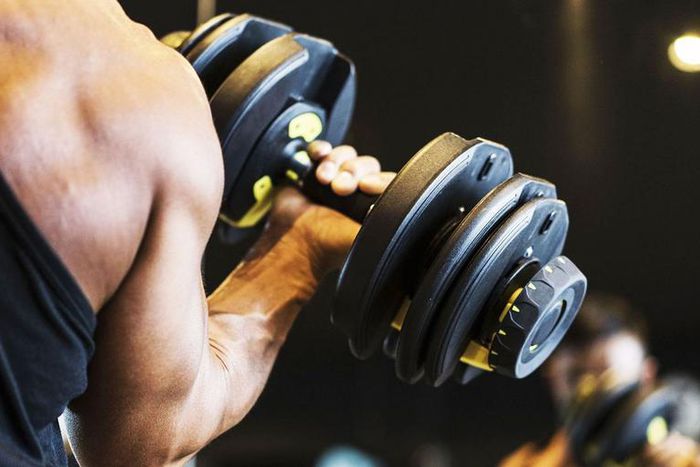 The Best Adjustable Dumbbells