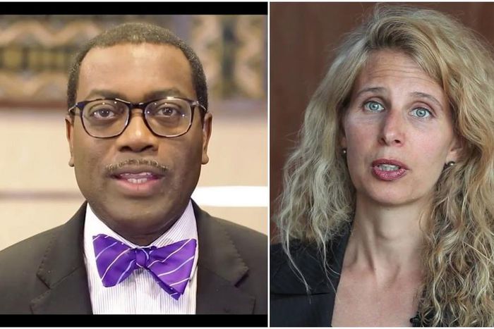 AfDB Vice President, Blanke resigns, thanks Adesina for strong leadership. [newdiplomatng]