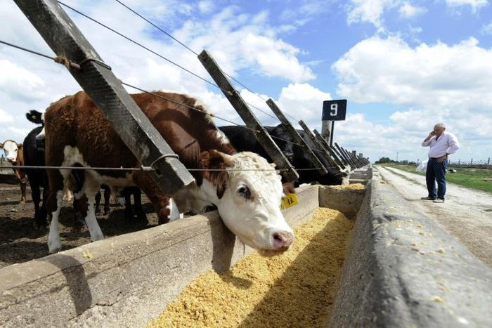 Argentine farmers are still able to operate despite the coronavirus pandemic but they are finding it increasingly difficult to export their produce