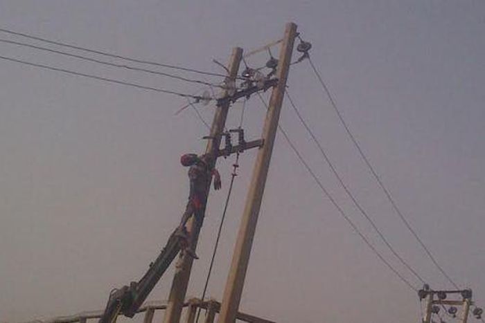 Thief electrocuted on electric pole