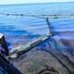 Images have showed huge stretches of crystal-clear seas around the marooned cargo ship stained an inky black