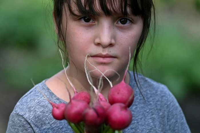 A girl holds a bundle of radishes in the community vegetable garden in El Chaparral