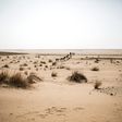 Lone and level sands: The Sahara
