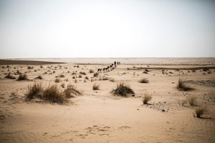 Lone and level sands: The Sahara