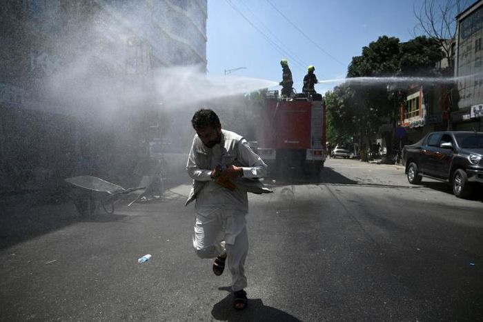 The survey estimated that 31.5 percent of the Afghanistan population had contracted the virus