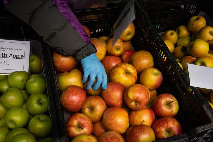 Why Outdoor Farmers' Markets Matter More Than Ever