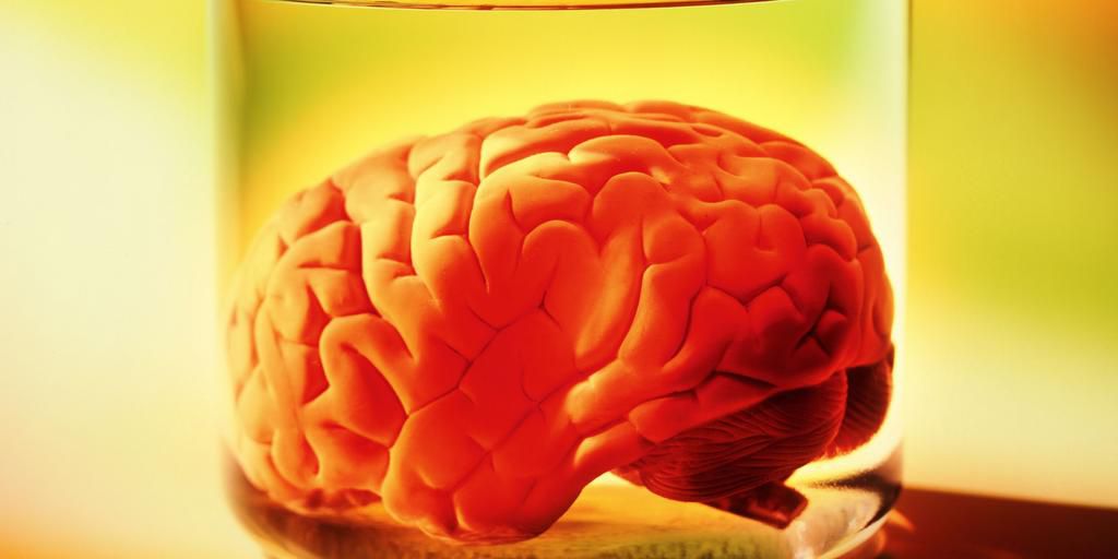 Your brain isn’t fully mature until this age