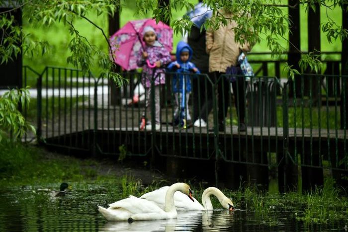 Moscow parks have been given the go-ahead to reopen after the virus lockdown. This park reopened early