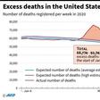Excess deaths in the United States since early January, and details of excess deaths in New York
