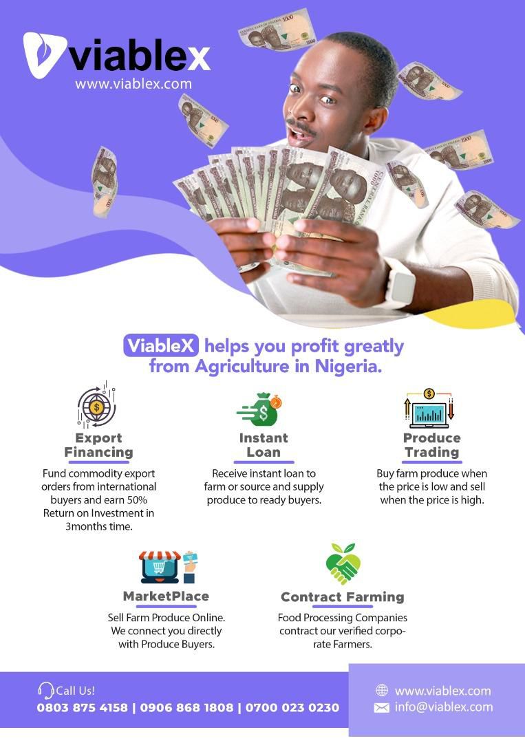 How Viable X is empowering farmers, traders and investors in Nigeria