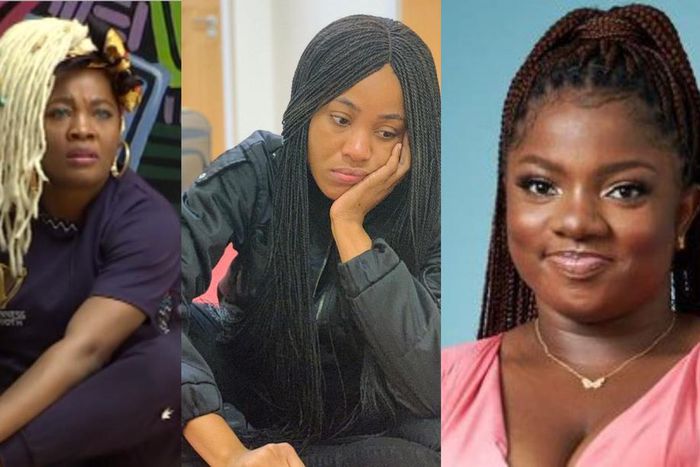 Lucy, Erica and Dorathy [Instagram @Ericanlewedim, Twitter @bigbronaija]