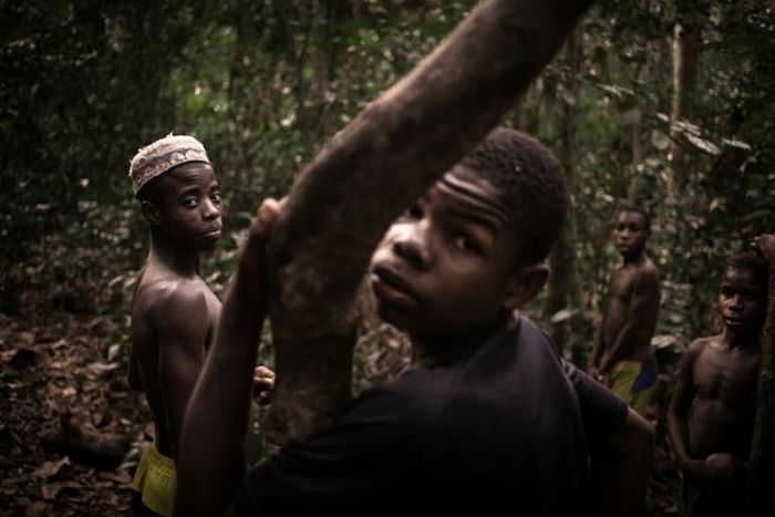 Young Bayaka Pygmies set up camp in the Dzanga-Sangha reserve in March