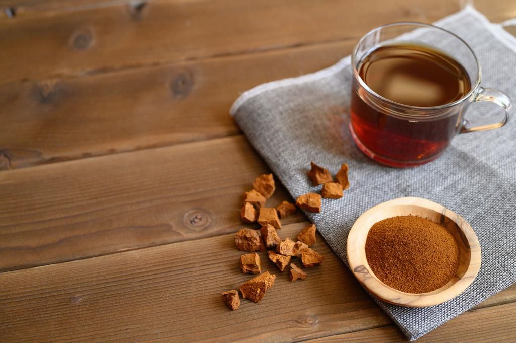 chaga tea mushroom from birch tree using for healing tea or coffee in folk medicine. ground powder