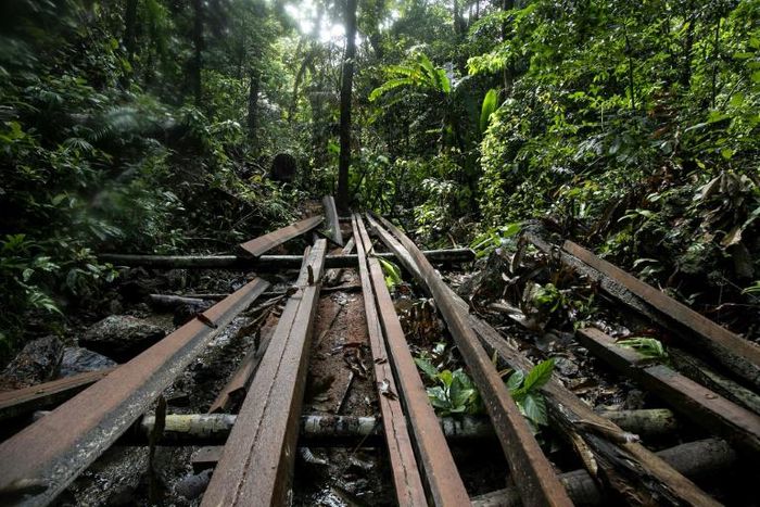 An illegal logging site discovered by Philippine environmental defenders near the tourist town of El Nido, on Palawan island