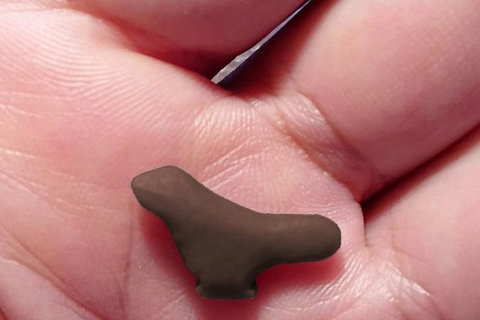 The carving was found among burnt animal remains and fragments of ceramics at a site in north central Henan province