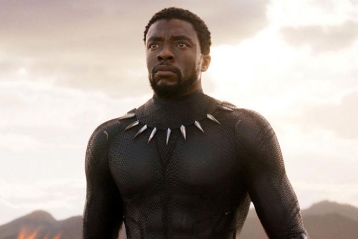 Chadwick Boseman as the Iconic King T'Challa in Marvel's 'Black Panther' [Syfy Wire]