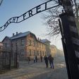 The Auschwitz museum is appealing for financial aid after the virus lockdown 'collapsed' the annual budget