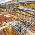 Dismantling two hanging whale skeletons for renovation work is no small feat