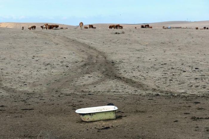 The United States is today more than twice as likely to endure a devastating 'dust bowl' scenario than during the Great Depression