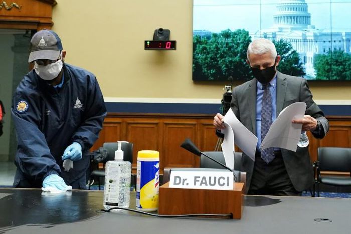 National Institute for Allergy and Infectious Diseases director Anthony Fauci (right) warned Congress that "disturbing" spikes in new coronavirus infections were hitting several US states