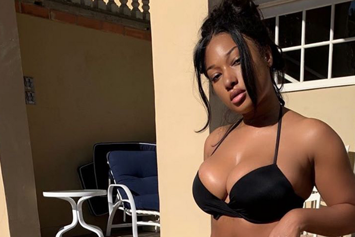 Megan Thee Stallion Just Posted A Bikini Pic
